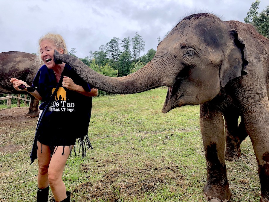 The best elephant sanctuary in Northern Thailand