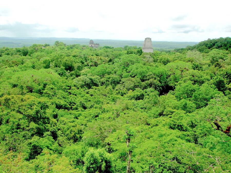 Belize Guatemala Itinerary, Tikal