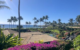 Kauai Vacation Guide