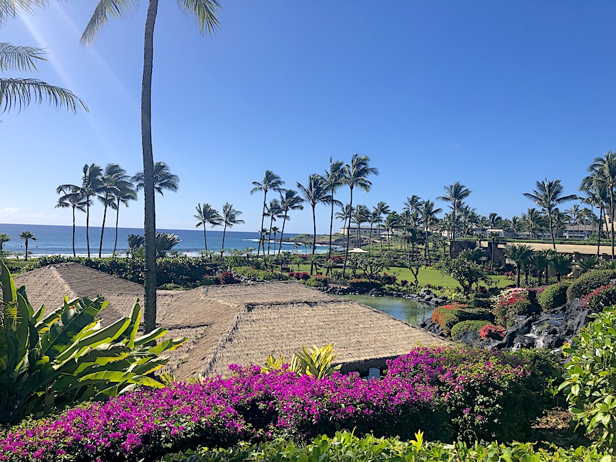 Kauai Vacation Guide