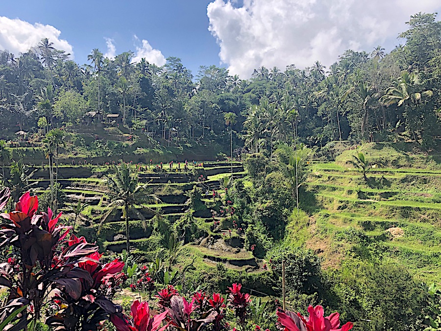Best Travel Experiences- Bali