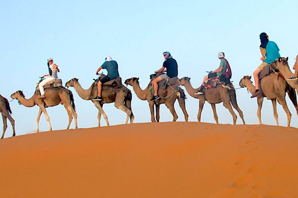 Sahara Desert by Camel